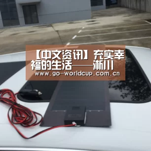 【中文资讯】充实幸福的生活——淅川县毛堂乡老沟小学教师王海会的日常一天(图2) 中文资讯