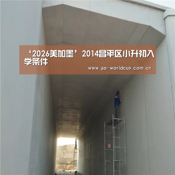 赛程查询