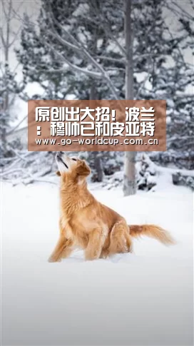 原创出大招!波兰:穆帅已和皮亚特克通话,热刺欲1000万欧租借1年:中文资讯(图2) 中文资讯