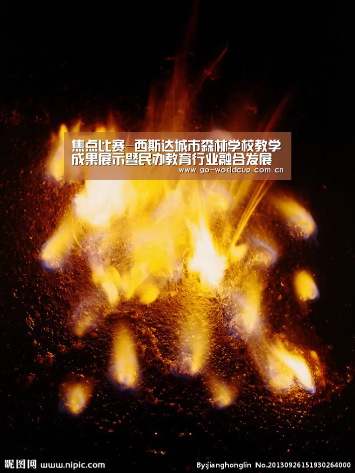 焦点比赛-西斯达城市森林学校教学成果展示暨民办教育行业融合发展交流会隆重举行(图1) 2026美加墨