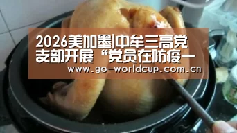 2026美加墨|中牟三高党支部开展“党员在防疫一线行动”主题党日活动(图2) 焦点比赛