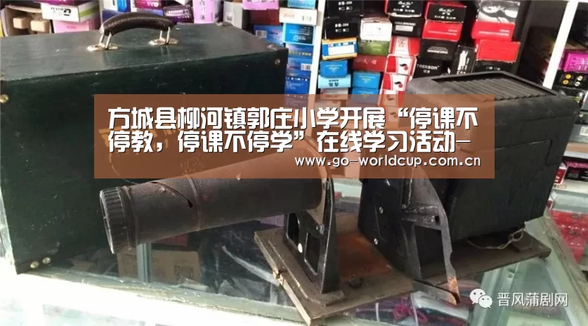 方城县柳河镇郭庄小学开展“停课不停教,停课不停学”在线学习活动-中文资讯(图4) 赛程查询